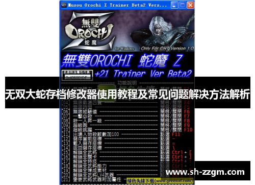 无双大蛇存档修改器使用教程及常见问题解决方法解析 无双大蛇存档修改器使用教程及常见问题解决方法解析